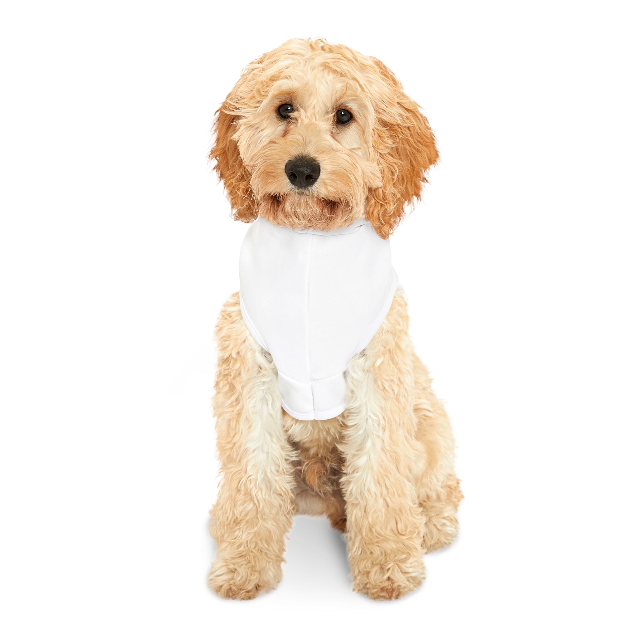 Cimarrón raza autóctona de Uruguay .Stylish Pet Hoodie for Cozy Warmth, Dog Owners, Pet Lovers Gift, Must-Have Dog Apparel, Winter Outfit, Cute Pet Wear
