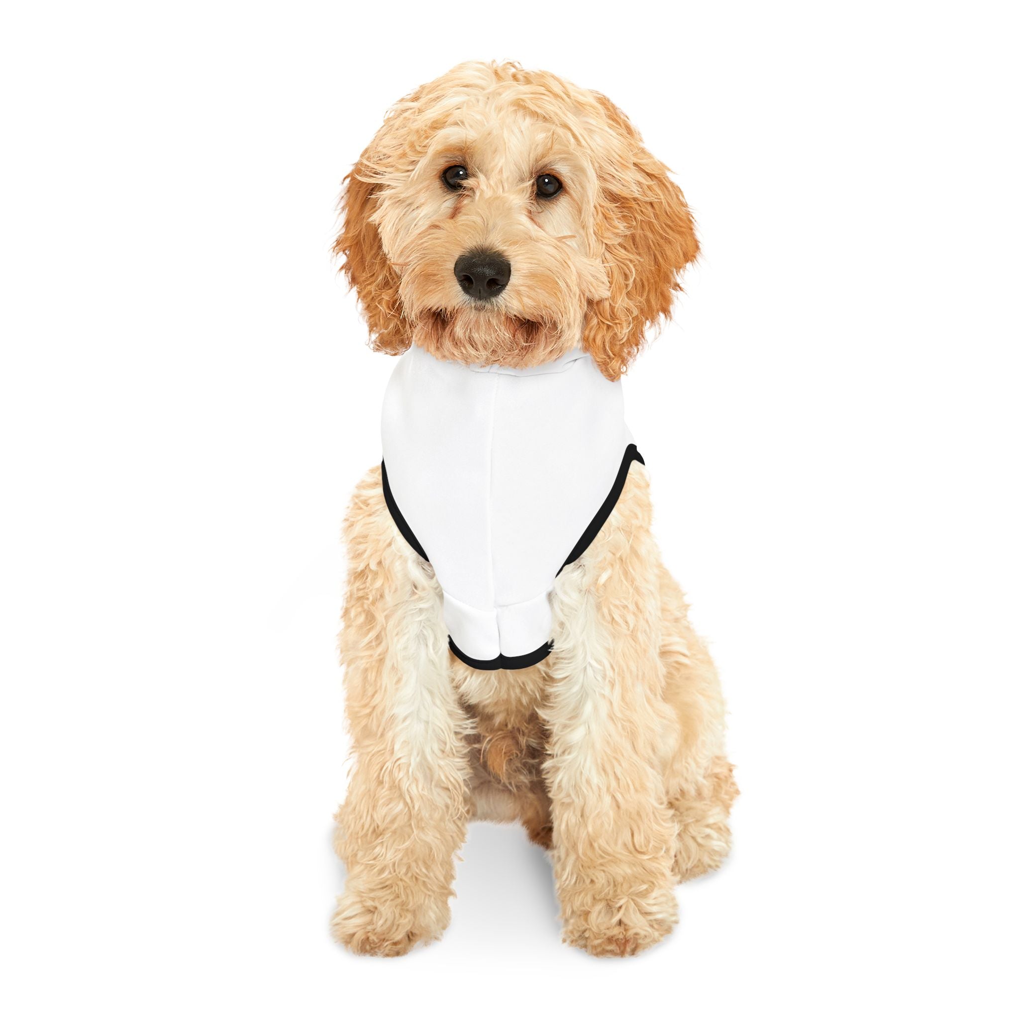 Cimarrón raza autóctona de Uruguay .Stylish Pet Hoodie for Cozy Warmth, Dog Owners, Pet Lovers Gift, Must-Have Dog Apparel, Winter Outfit, Cute Pet Wear