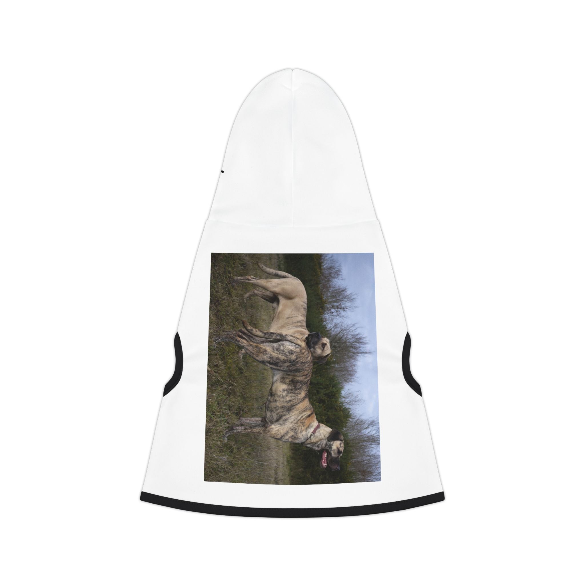 Cimarrón raza autóctona de Uruguay .Stylish Pet Hoodie for Cozy Warmth, Dog Owners, Pet Lovers Gift, Must-Have Dog Apparel, Winter Outfit, Cute Pet Wear